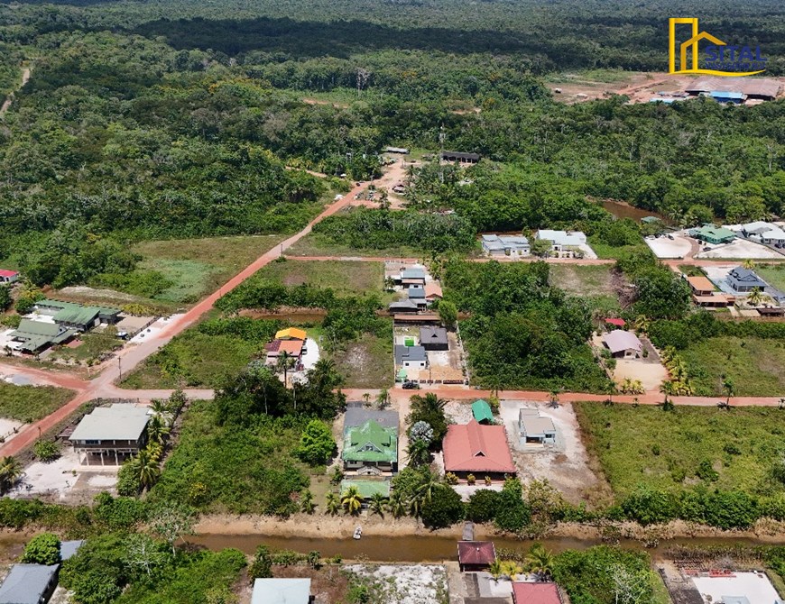 Picture 8